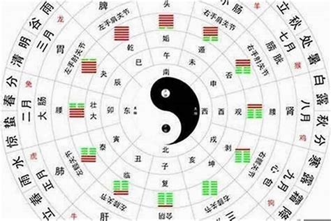 艾字五行|八卦周易易经。艾 字五行属什么？有说属木 有说属 土 的。